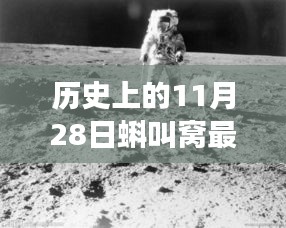 历史上的11月28日，蝌叫窝最新科技视频重磅发布，领略未来生活新纪元