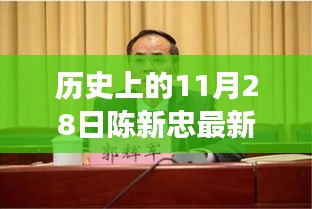 历史上的11月28日陈新忠抓捕事件深度分析与观点阐述