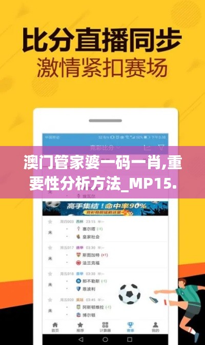 澳门管家婆一码一肖,重要性分析方法_MP15.246-9