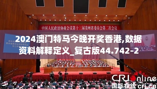 2024澳门特马今晚开奖香港,数据资料解释定义_复古版44.742-2