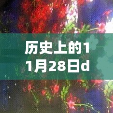 历史上的11月28日，秘境探索与独特风味的新发现