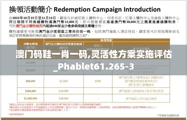 澳门码鞋一肖一码,灵活性方案实施评估_Phablet61.265-3