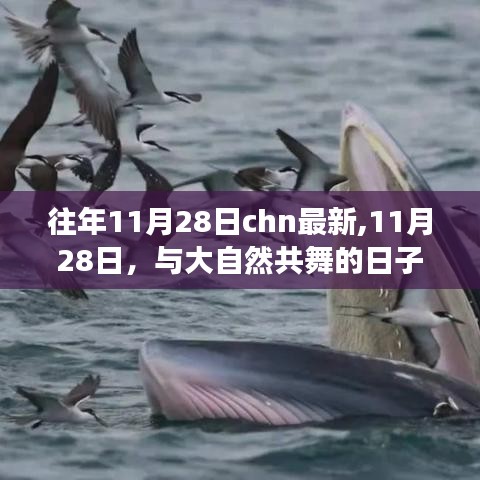 寻找内心平静的奇妙之旅，11月28日与大自然的共舞日