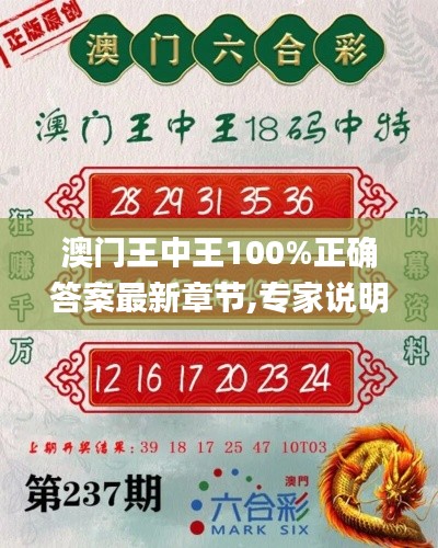 澳门王中王100%正确答案最新章节,专家说明解析_复古版86.977-1