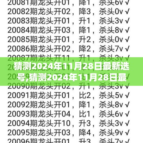 2024年11月28日最新选号产品评测与介绍，全面洞悉选号趋势