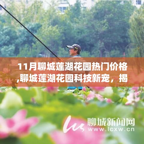 揭秘聊城莲湖花园科技新宠，揭秘11月热门高科技花园产品与价格动态