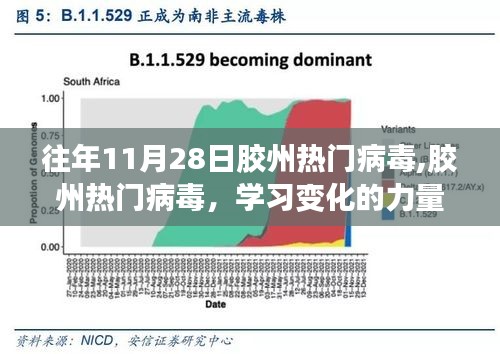 胶州热门病毒背后的力量与自信之舞，学习变化的力量跃动生活瞬间