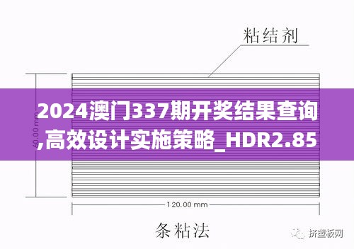 2024澳门337期开奖结果查询,高效设计实施策略_HDR2.851-6