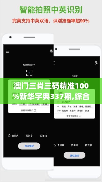 澳门三肖三码精准100%新华字典337期,综合解答解释定义_V99.939-8