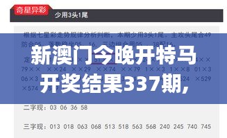 新澳门今晚开特马开奖结果337期,快捷解决方案问题_CT8.881-6