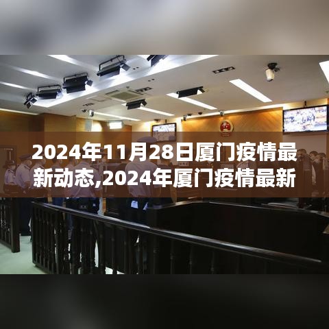 2024年厦门疫情最新动态及应对指南，全方位防护技能从初学到进阶