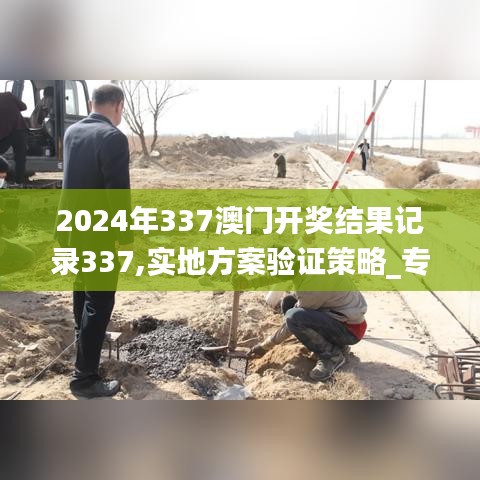 2024年337澳门开奖结果记录337,实地方案验证策略_专业款25.774-3