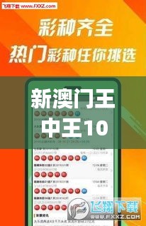 新澳门王中王100%期期中,理性解答解释落实_ios7.152-8