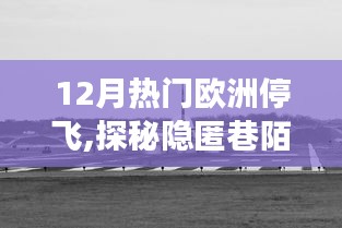 十二月欧洲停飞探秘巷陌独特小店的故事