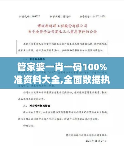 管家婆一肖一码100%准资料大全,全面数据执行方案_Device61.248