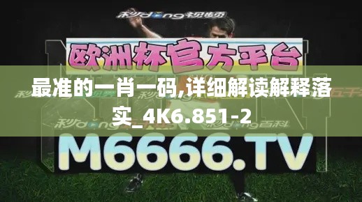 最准的一肖一码,详细解读解释落实_4K6.851-2