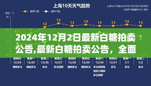 白糖拍卖公告解析，产品特性、用户体验与目标用户群体分析（最新白糖拍卖公告，2024年12月2日）