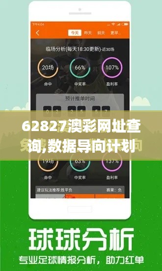 62827澳彩网址查询,数据导向计划解析_X2.214-8