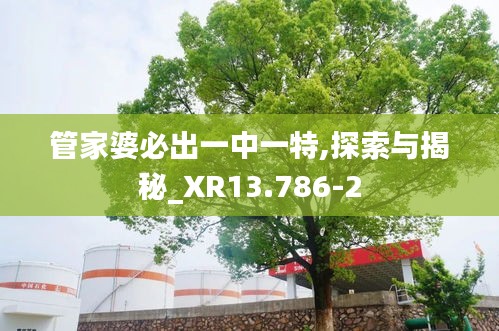 管家婆必出一中一特,探索与揭秘_XR13.786-2