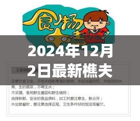 最新樵夫毒猪卡组攻略，探险之旅启程，寻找内心的宁静时光（2024年12月版）