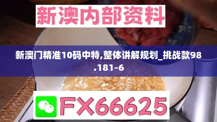 新澳门精准10码中特,整体讲解规划_挑战款98.181-6