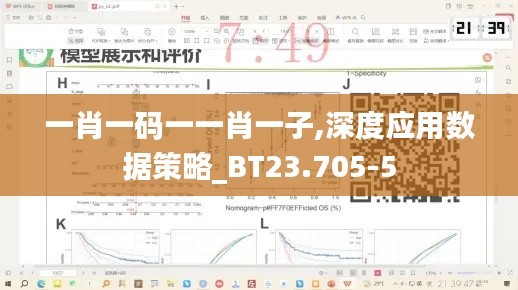 一肖一码一一肖一子,深度应用数据策略_BT23.705-5