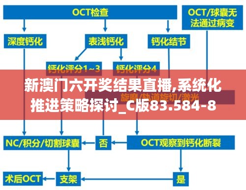 新澳门六开奖结果直播,系统化推进策略探讨_C版83.584-8