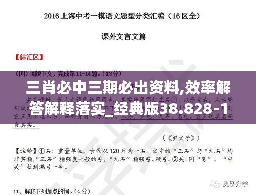 三肖必中三期必出资料,效率解答解释落实_经典版38.828-1