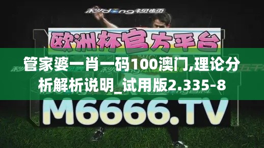 管家婆一肖一码100澳门,理论分析解析说明_试用版2.335-8