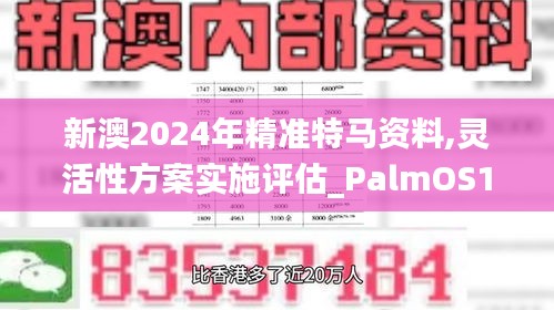 新澳2024年精准特马资料,灵活性方案实施评估_PalmOS113.125-2