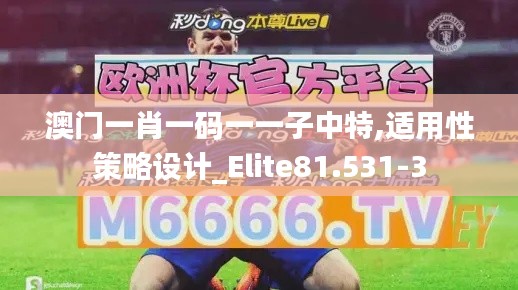 澳门一肖一码一一子中特,适用性策略设计_Elite81.531-3