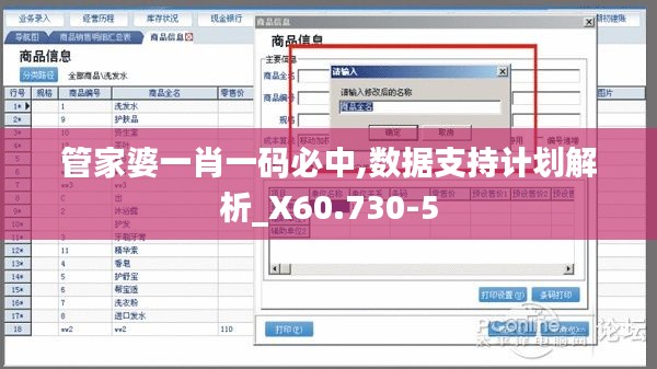 管家婆一肖一码必中,数据支持计划解析_X60.730-5