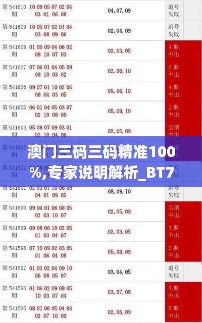 澳门三码三码精准100%,专家说明解析_BT73.890-3