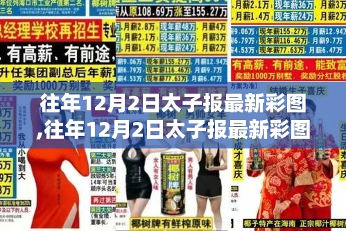 往年12月2日太子报彩图解析，特点、体验、竞品对比与用户群体深度分析