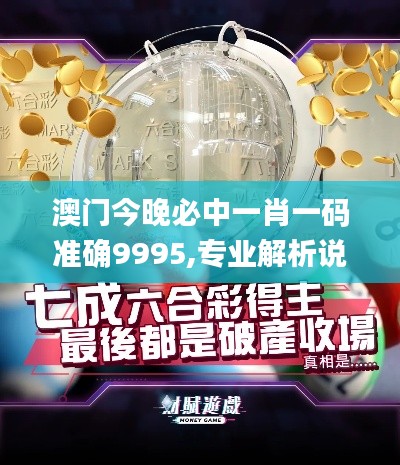 澳门今晚必中一肖一码准确9995,专业解析说明_手游版171.951-9