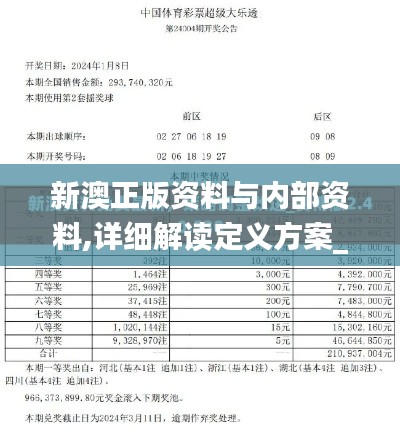 新澳正版资料与内部资料,详细解读定义方案_静态版169.703-1