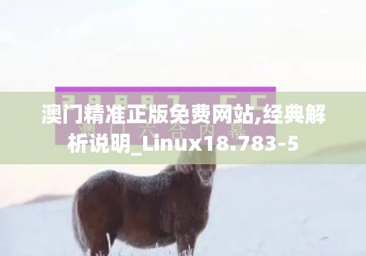 澳门精准正版免费网站,经典解析说明_Linux18.783-5