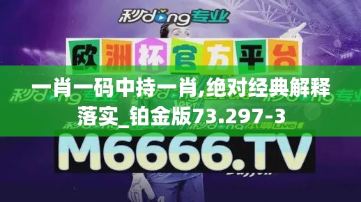 一肖一码中持一肖,绝对经典解释落实_铂金版73.297-3