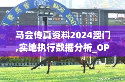 马会传真资料2024澳门,实地执行数据分析_OP81.342-8