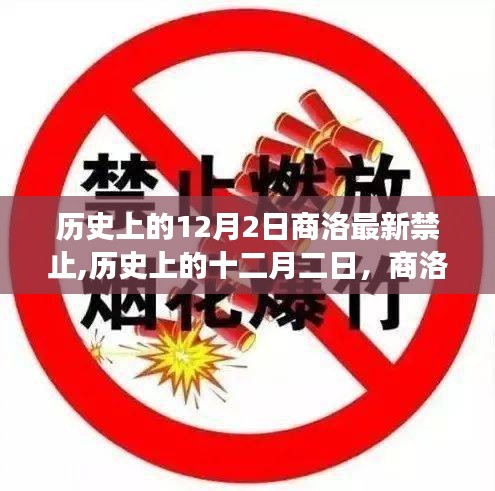 历史上的十二月二日，商洛最新禁令深度解读与回顾