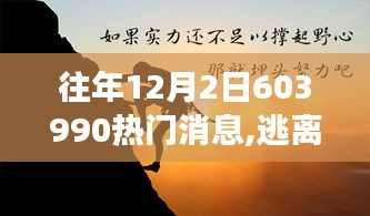 揭秘往年12月2日自然美景旅行故事，逃离尘嚣，追寻内心平静之旅