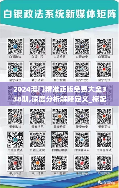 2024澳门精准正版免费大全338期,深度分析解释定义_标配版11.795-8