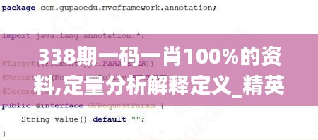 338期一码一肖100%的资料,定量分析解释定义_精英版29.732-2