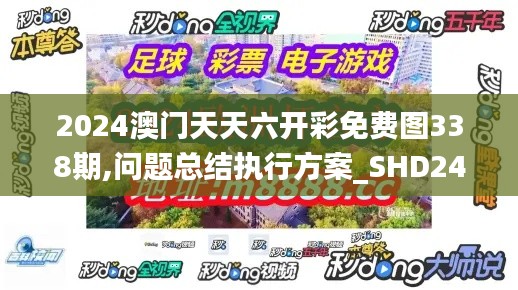 2024澳门天天六开彩免费图338期,问题总结执行方案_SHD24.723-2