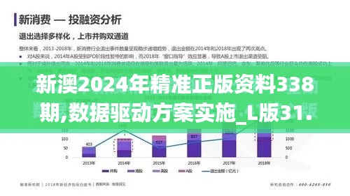 新澳2024年精准正版资料338期,数据驱动方案实施_L版31.652-4