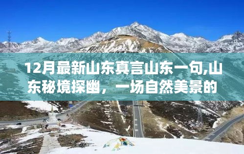 山东秘境探幽，自然美景的心灵之旅，寻找内心的宁静与平和