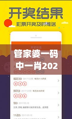 管家婆一码中一肖2024第338期,探索与解析_创新版97.245-9