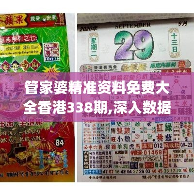 管家婆精准资料免费大全香港338期,深入数据解答解释落实_XR140.813-6