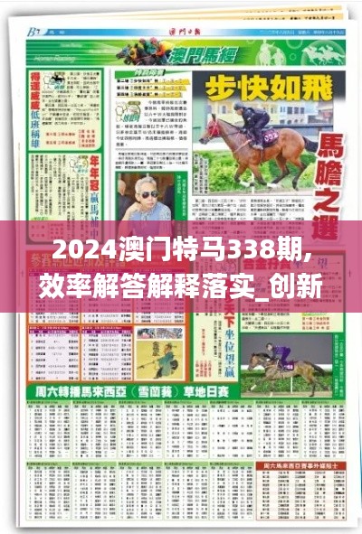 2024澳门特马338期,效率解答解释落实_创新版49.607-4