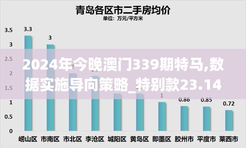 2024年今晚澳门339期特马,数据实施导向策略_特别款23.141-7